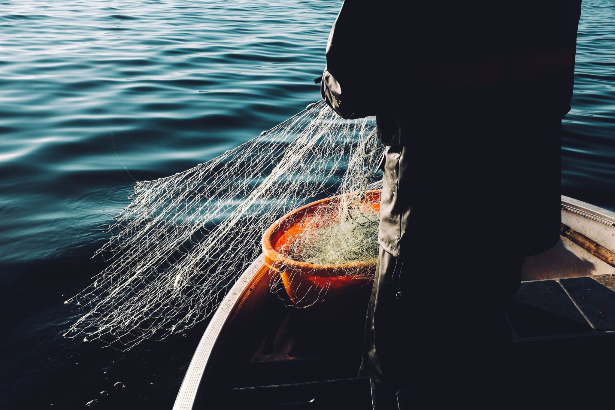 Fishing with net