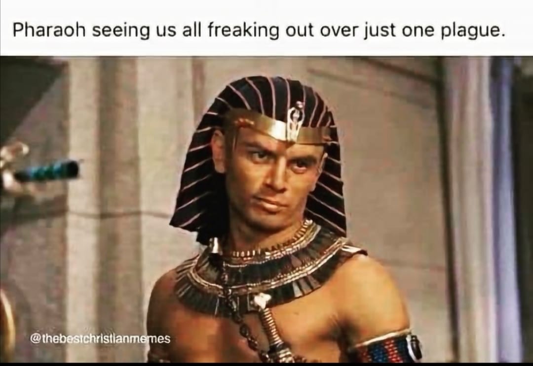 Pharaoh