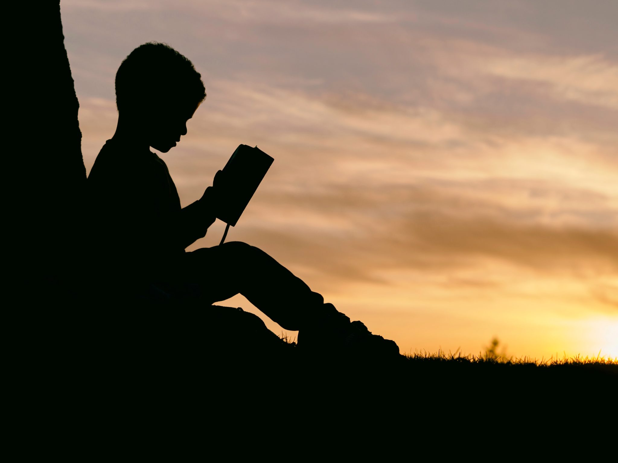 Boy Reading In A Sunset