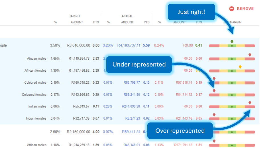 Detailed B-BBEE Gap Analysis